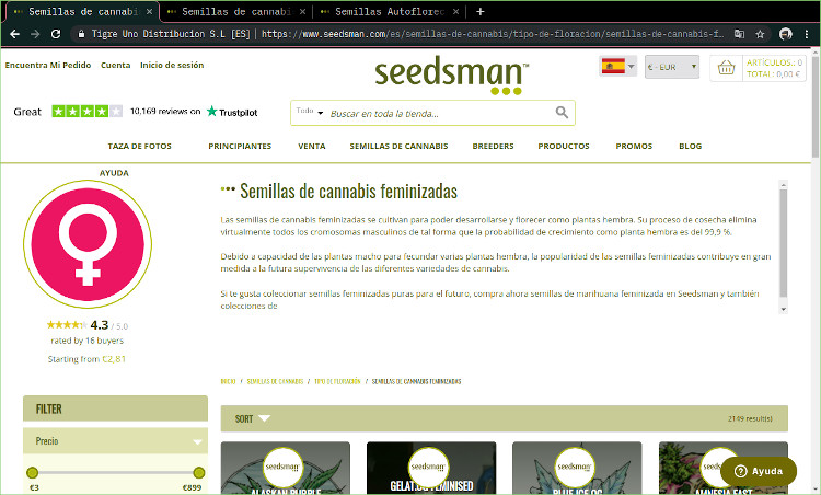 compre semilla de cannabis ahora